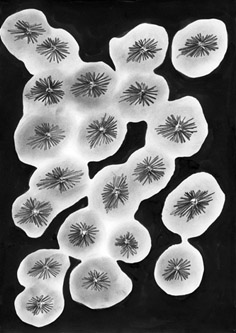 Löcher, Bleistift, Tusche, 21 x 29.5 cm